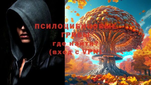 скорость Гусь-Хрустальный