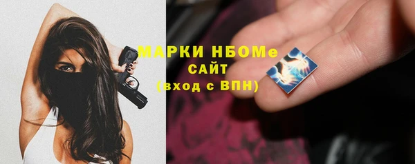 гашик Гусев