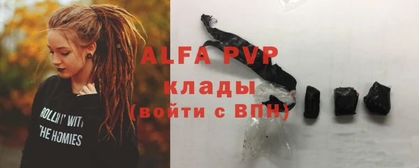 гашик Гусев