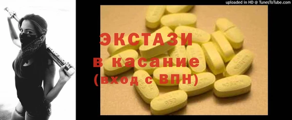 гашик Гусев