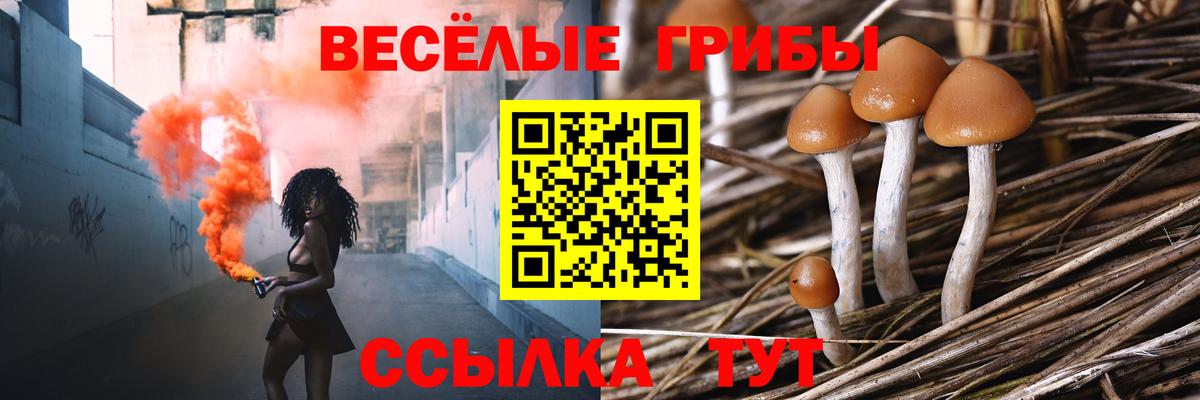 Галлюциногенные грибы мицелий  Псилоцибиновые грибы мухоморы  Вход с VPN  Керчь 